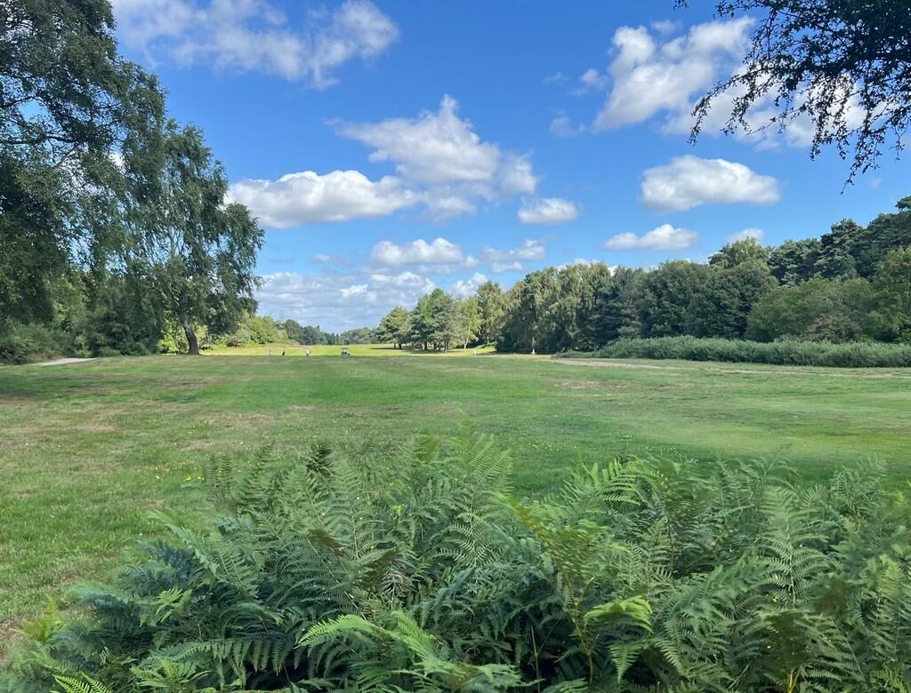 IMG-20250805-WA00...