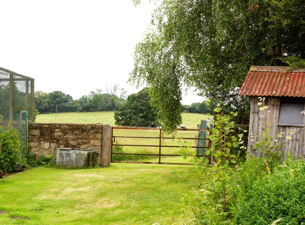 image00006.jpg