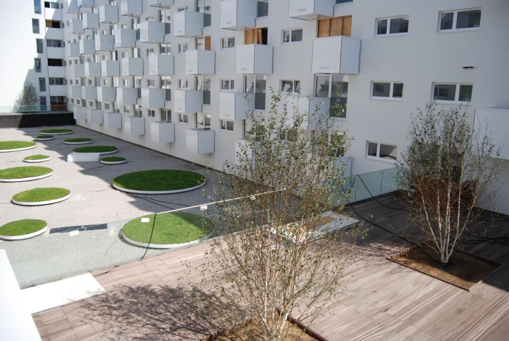 Communal - Schrier R