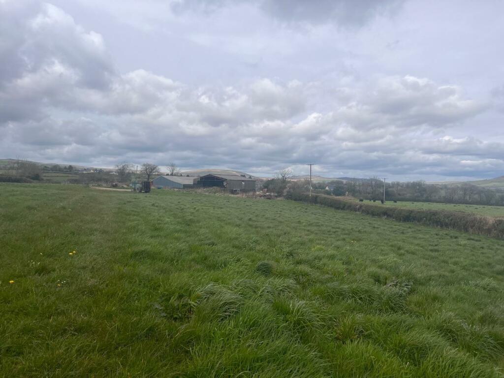 THE LAND