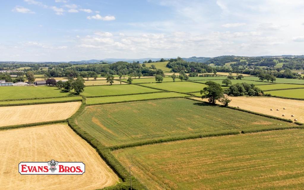 DJI_0533.jpg