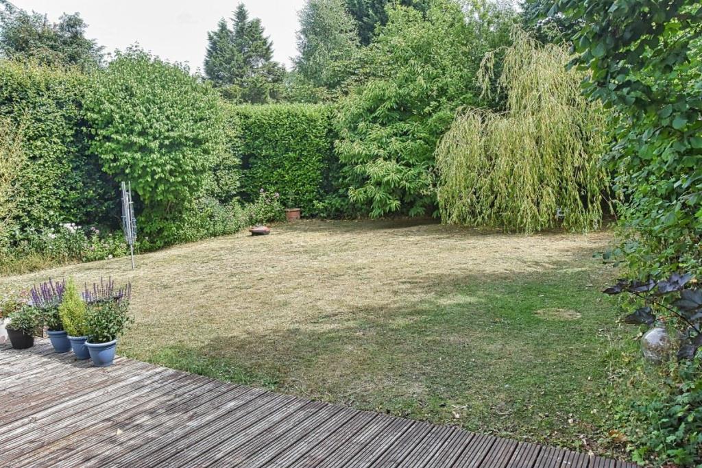 garden 1.jpg