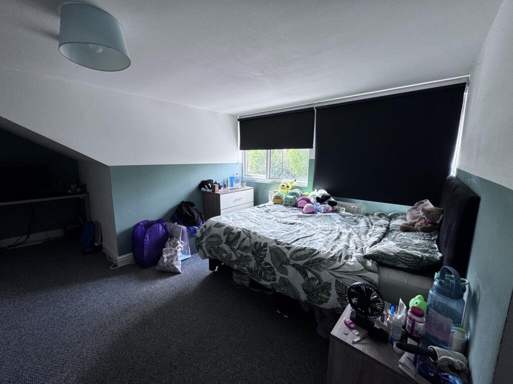 IMAGE 7