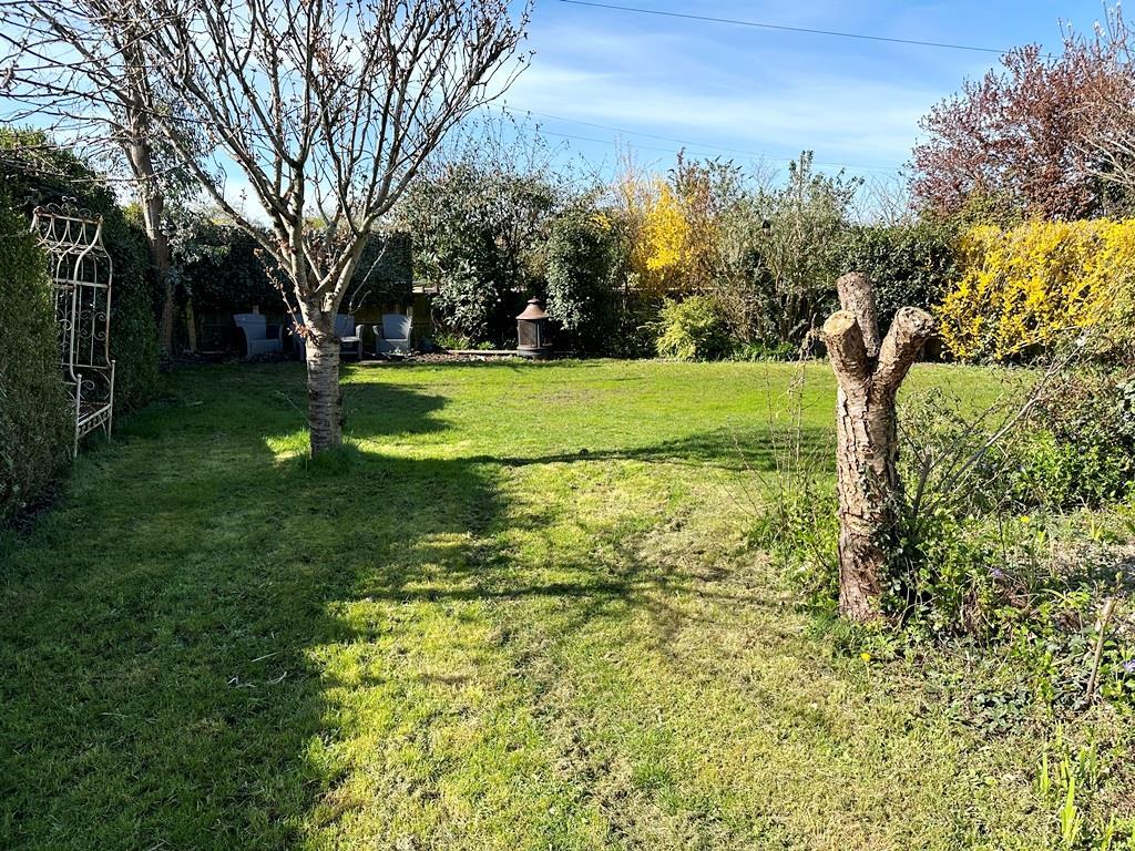 Garden(2).jpeg