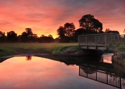 The Moor