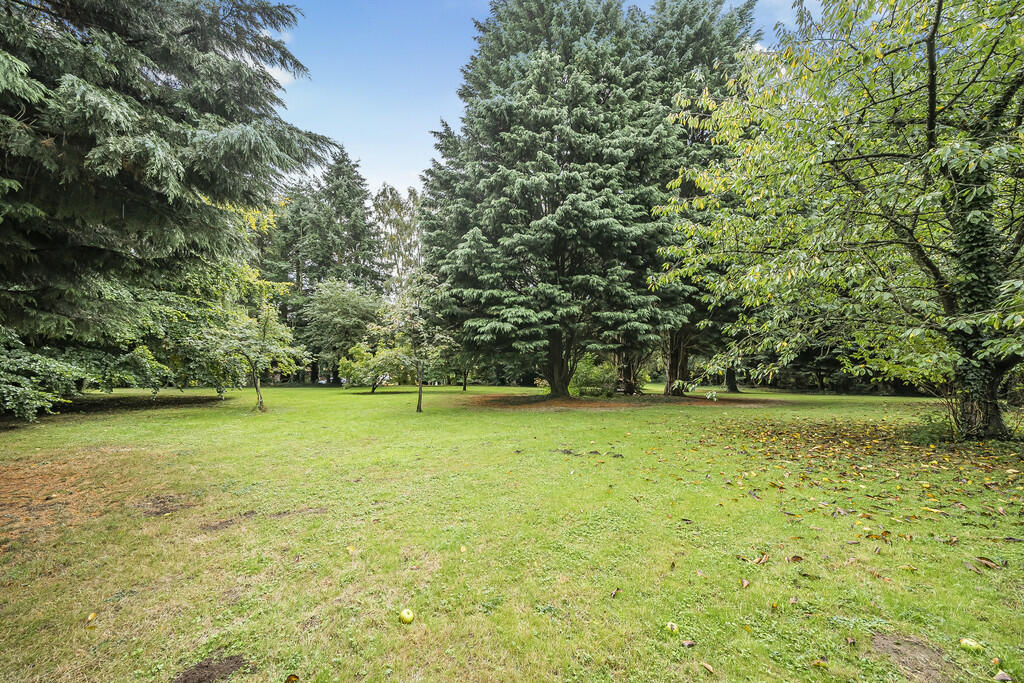Garden 3