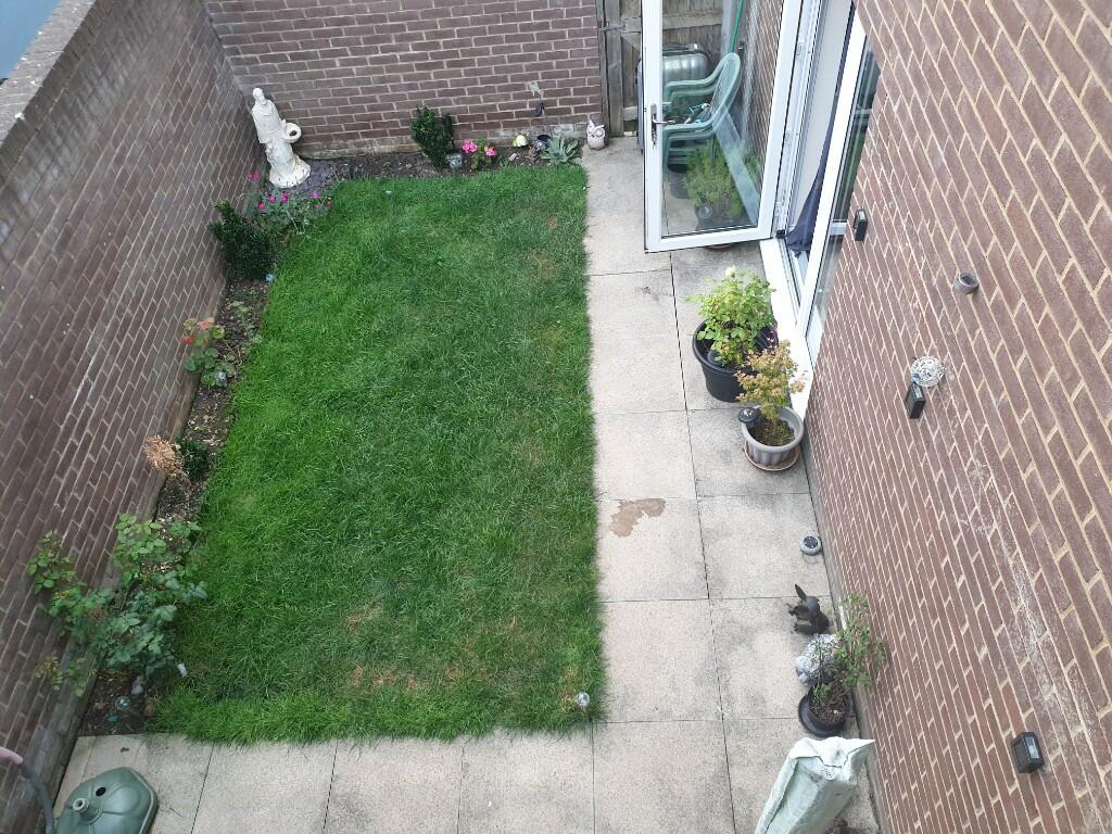Courtyard Garden