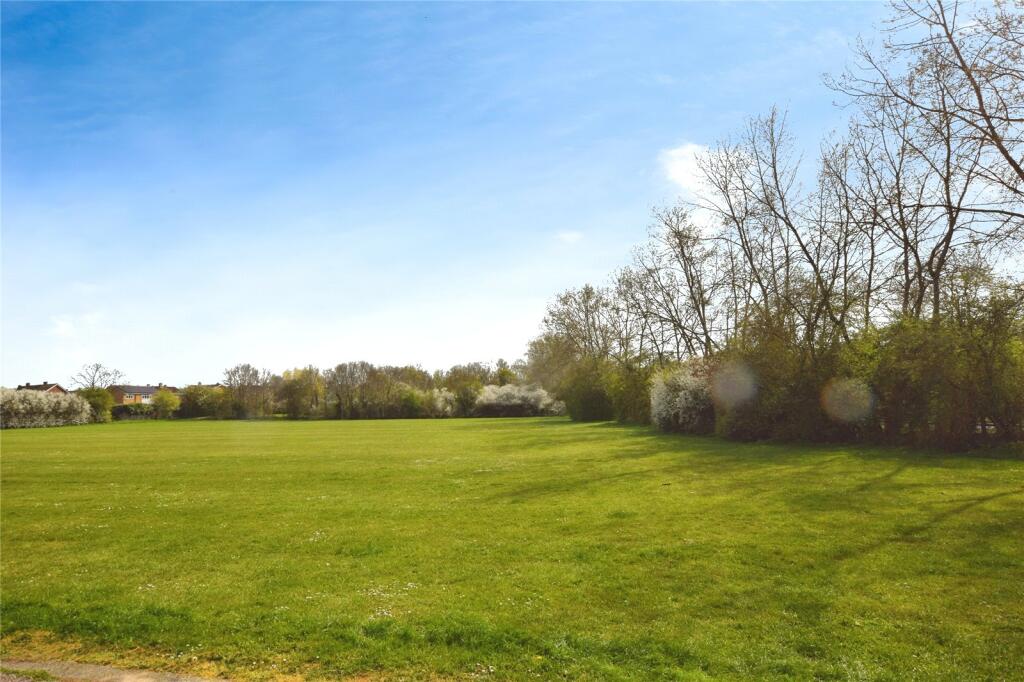 Field Views