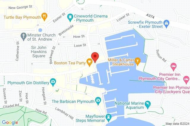 Google Maps Image