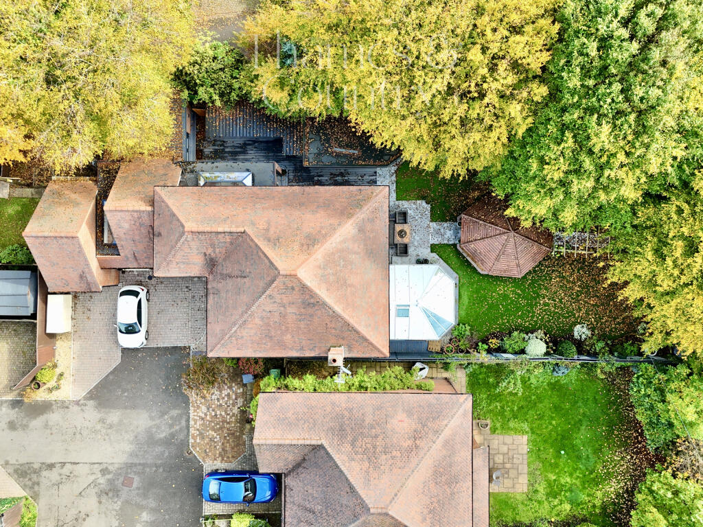 dji_fly_20251022_123452_0246_1761137785043_photo.j
