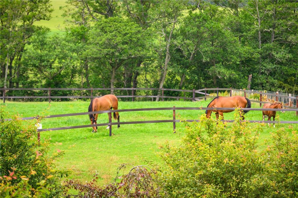 Paddocks