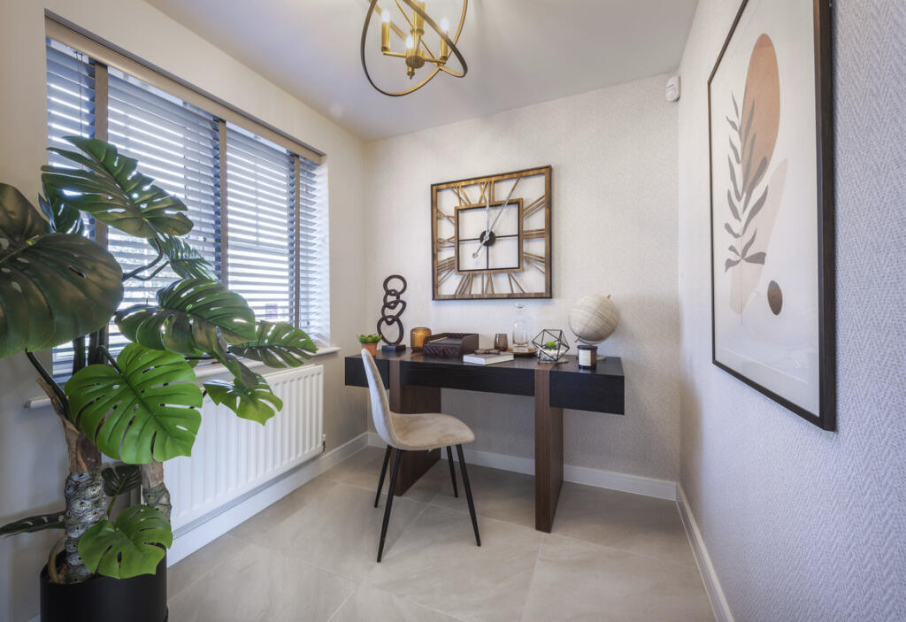 Indicative Study, Contemporary Modern Decoration