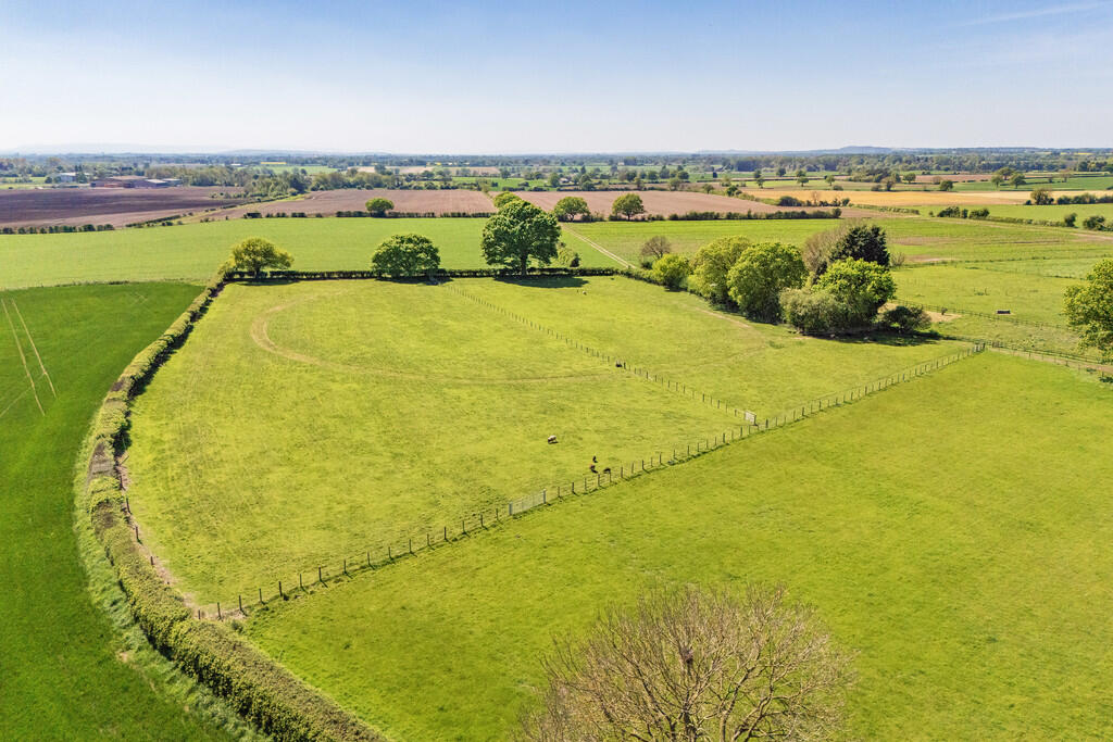 Paddocks 