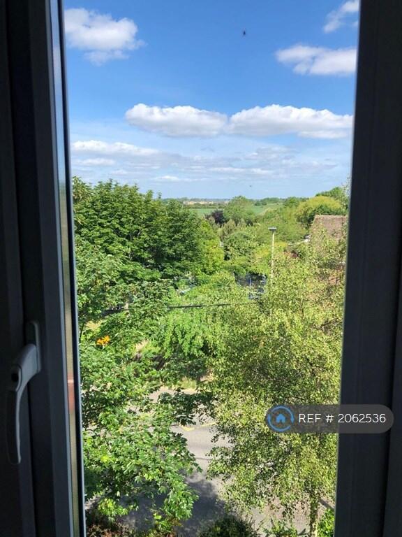 Best Views In The Building