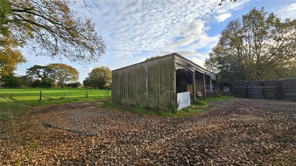 Lot 3