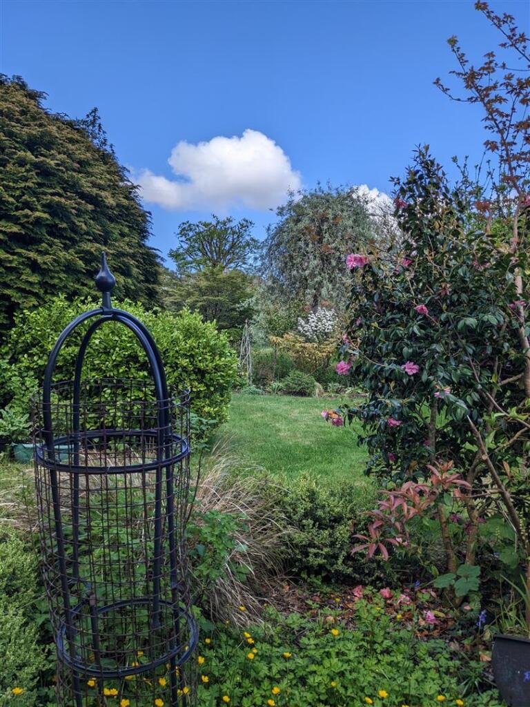 Vendor images (10).jpg