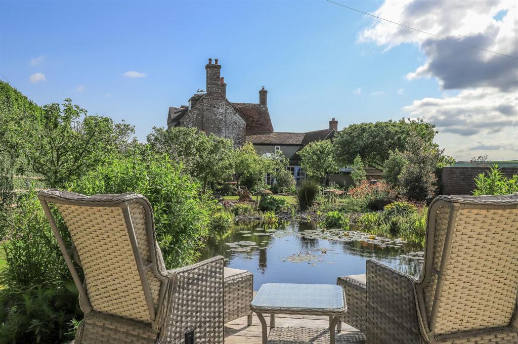 Pond and garden