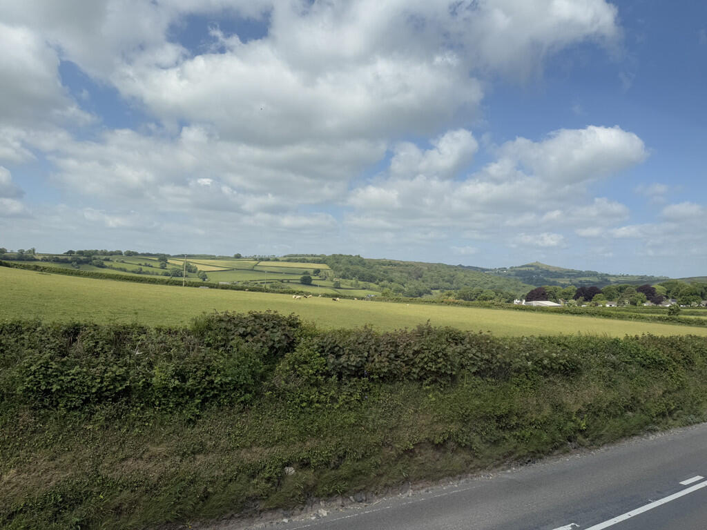 View from front windows