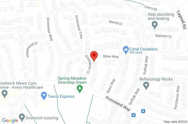 Google Maps Image