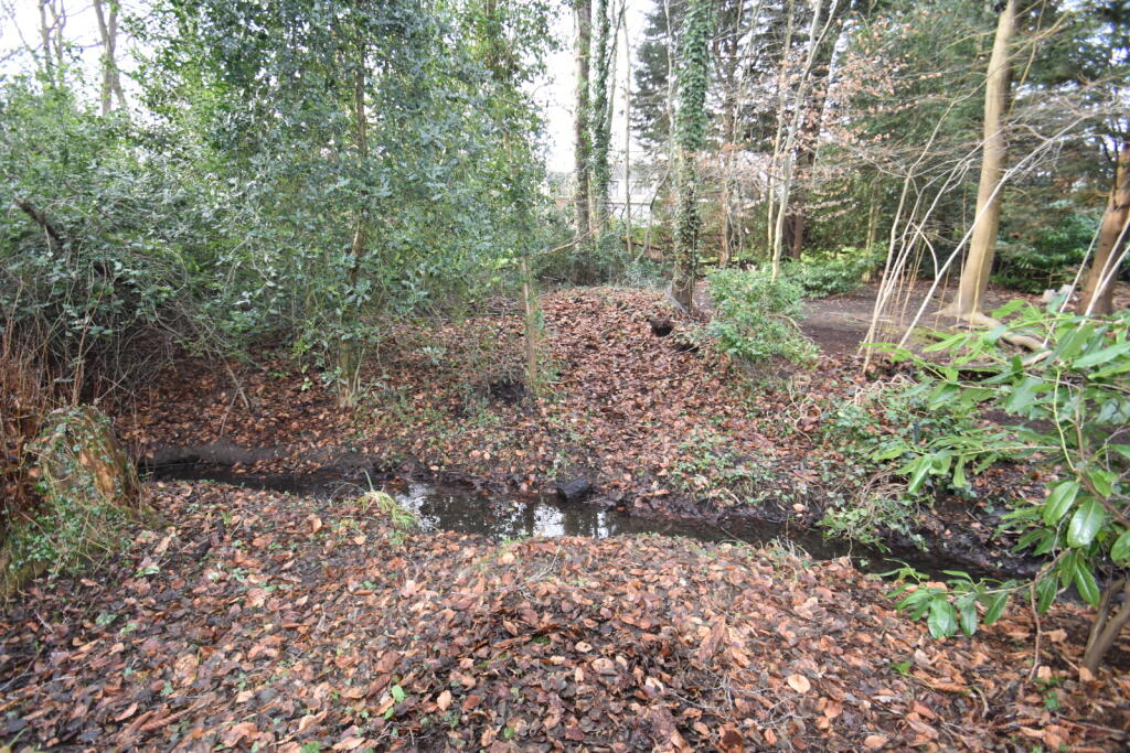 Woodland to Rear