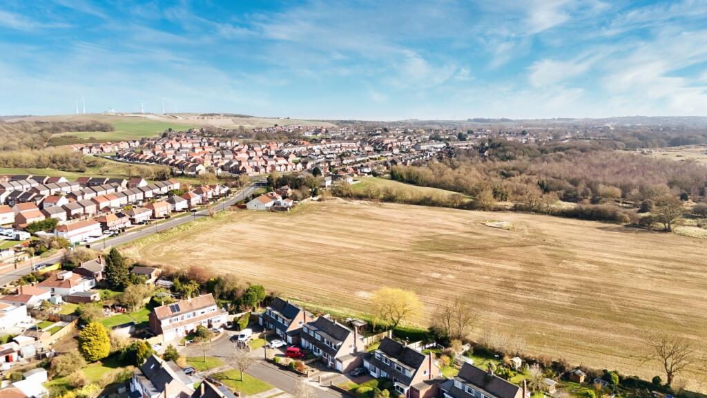 dji_fly_20250320_141840_0033_1742487755754_photo