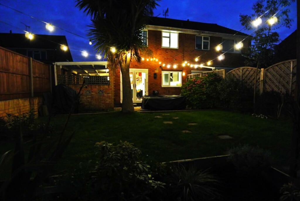 night shot.jpg