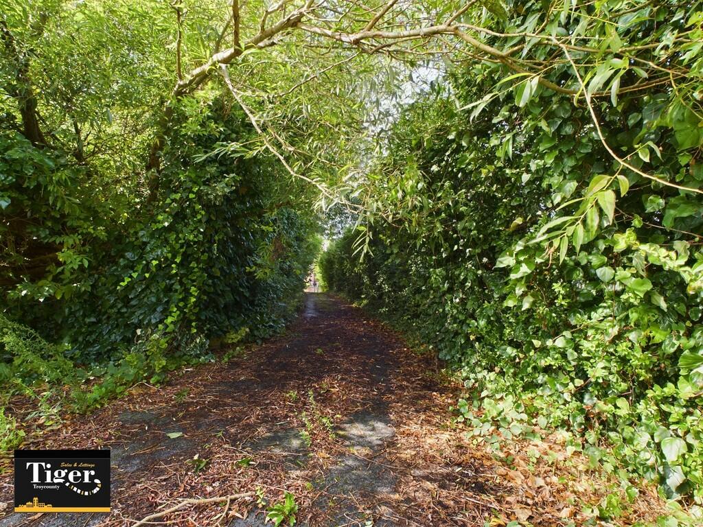 CAM02176G0-PR0329...