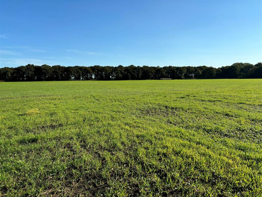 Photo 11-10-2024, 10 34 21.jpg