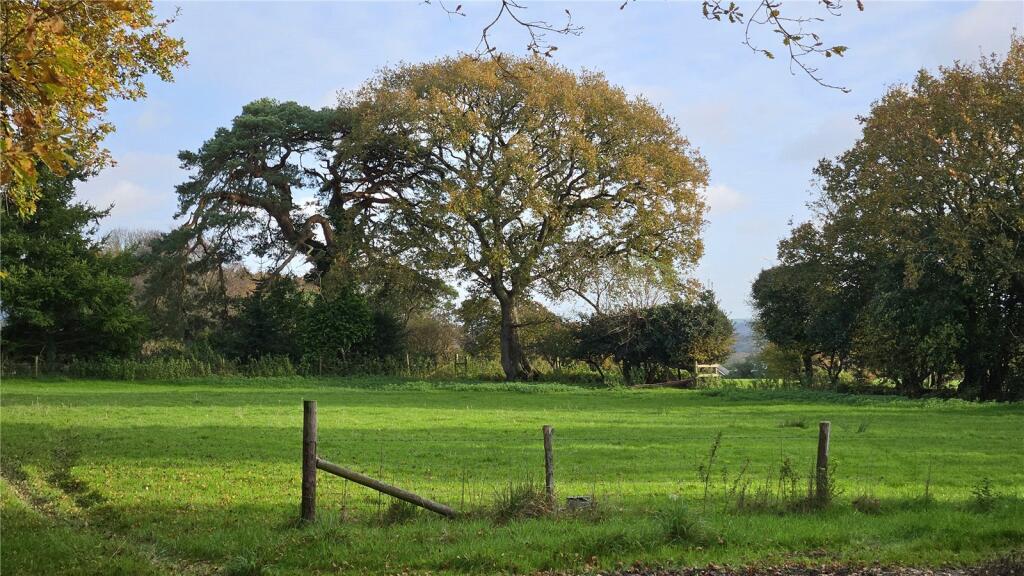 Lot 3