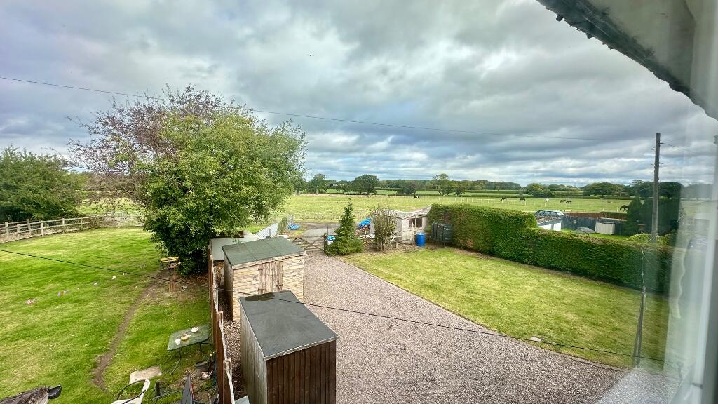 Back Garden