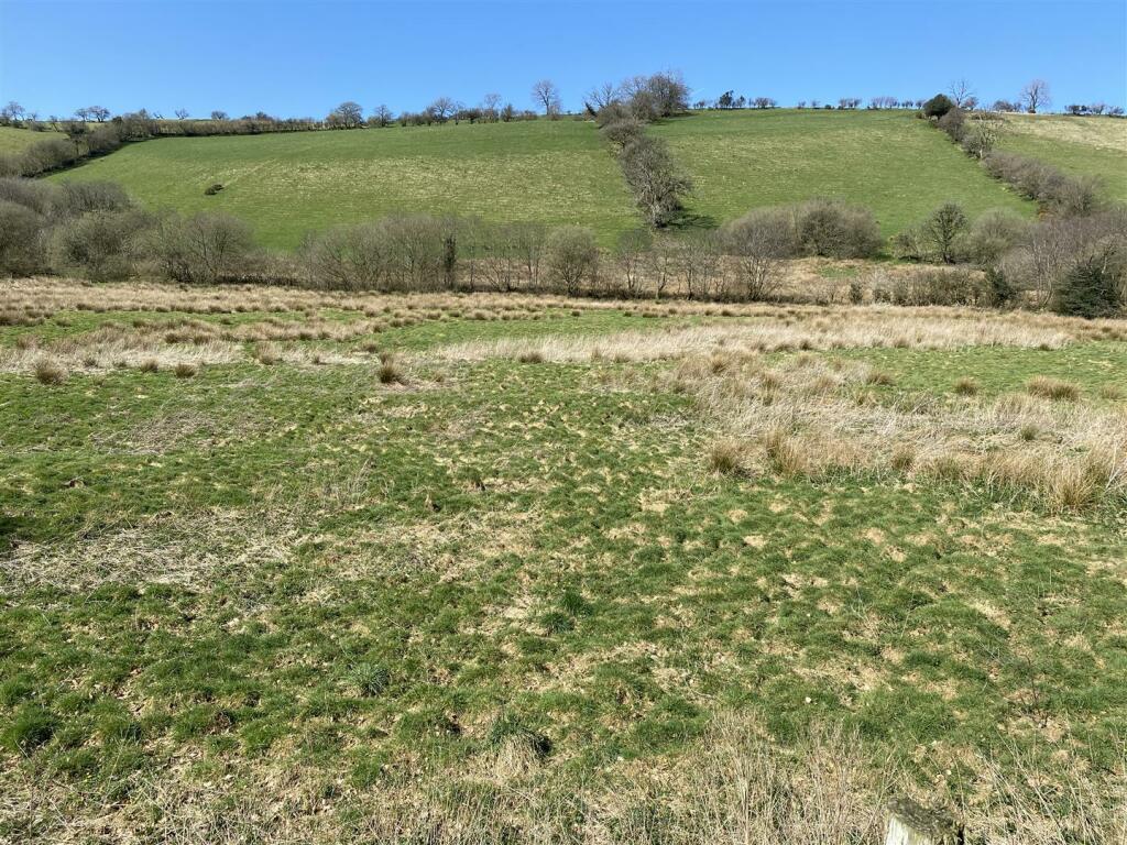 THE LAND