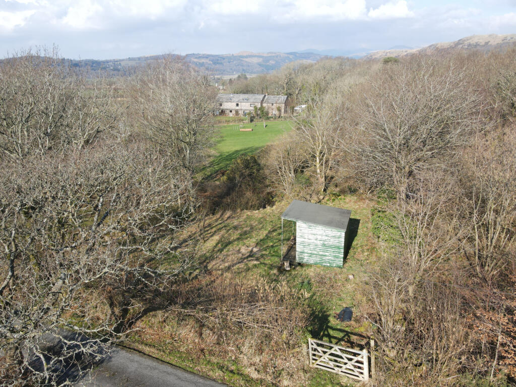 Orchard
