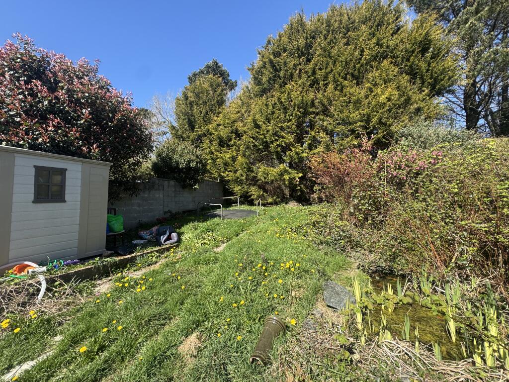 IMG 7889 T202504192100.jpg