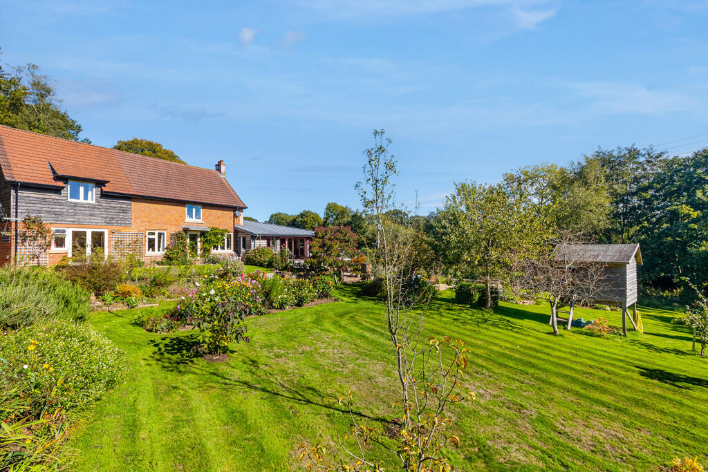 A07 - Cuckoo Down...