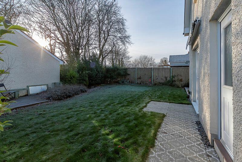 Back Garden