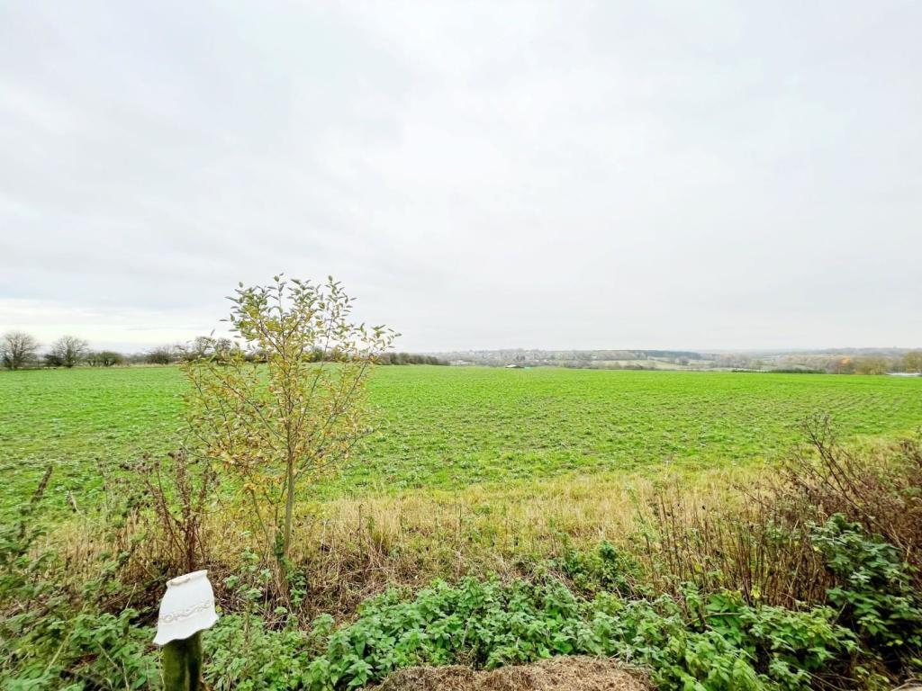 View to Rear.jpg