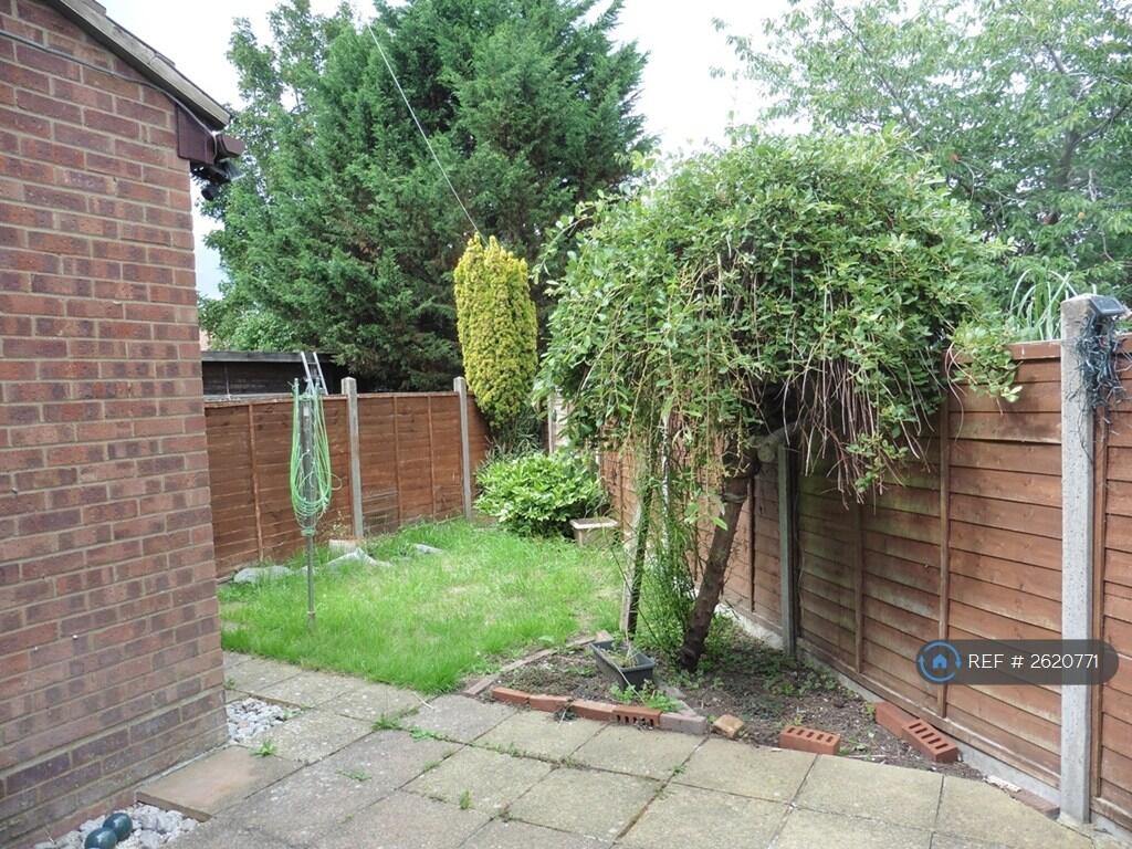 Back Garden