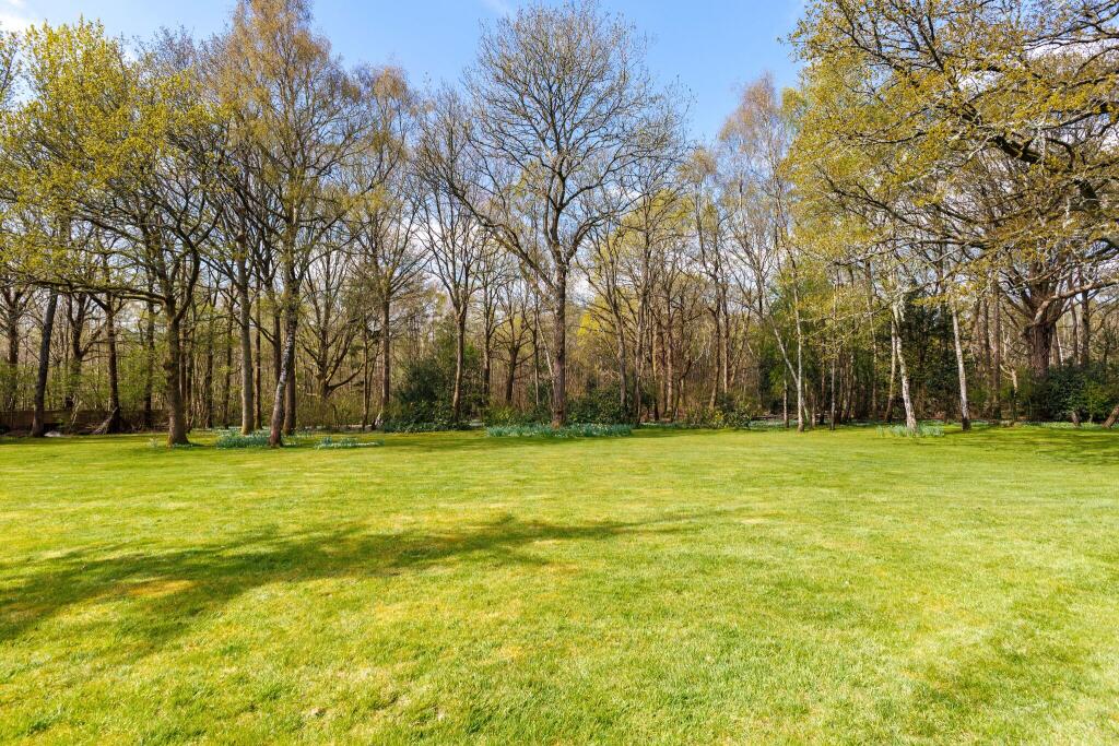 Spring Garden shot from 2025