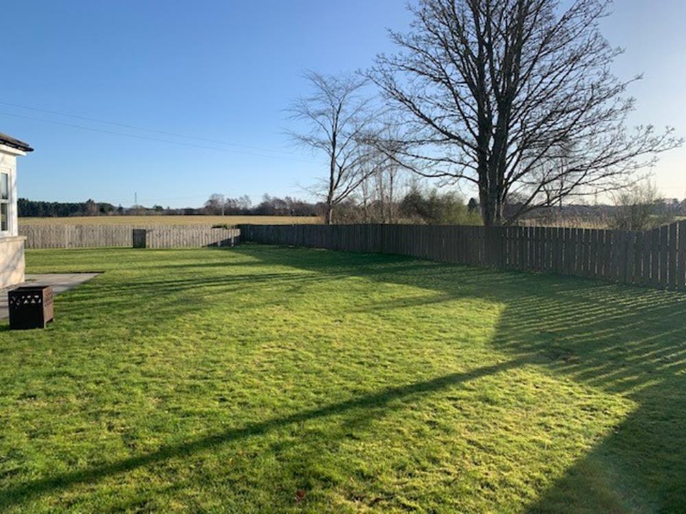 Garden - Copy