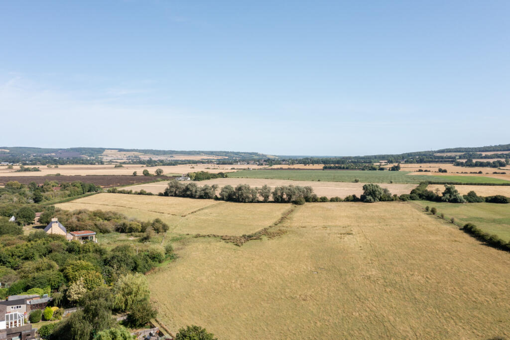 229025 - 20240813-NACCOLT-RD_TMH-56_HI_RES.JPG