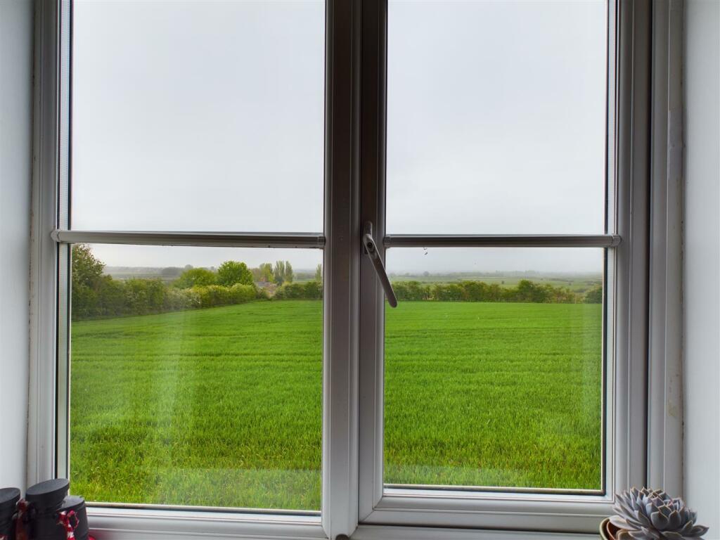 VIEW FROM BEDROOM