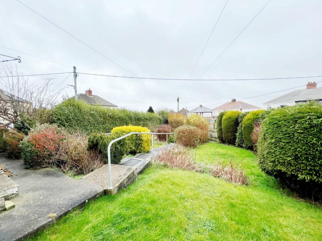 Garden pic 4.jpg