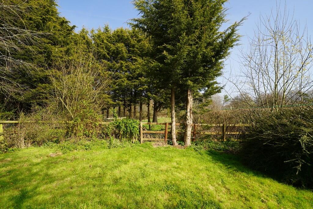 The Garden
