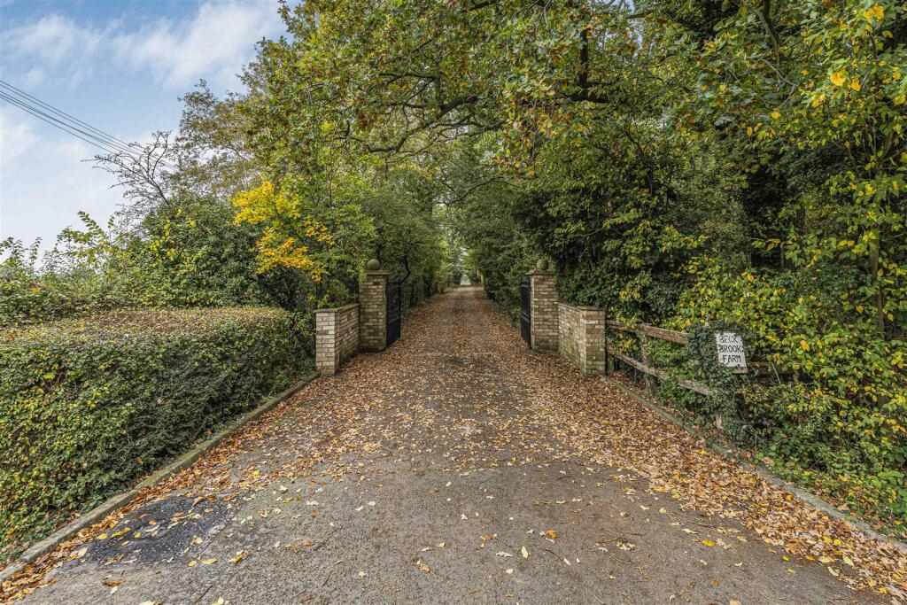 14_42087.jpg
