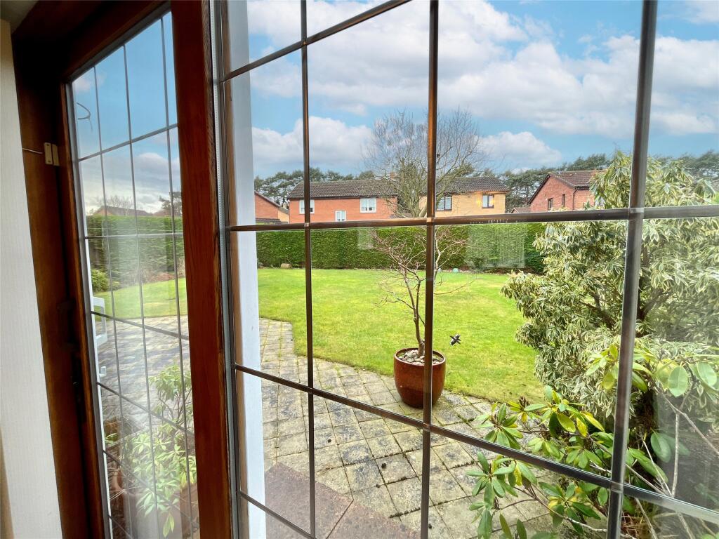 Window View