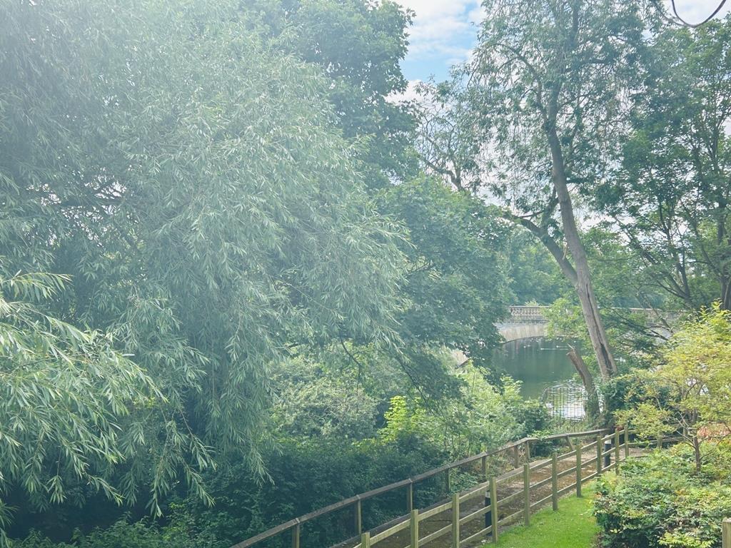 View from Bedroom.JPEG