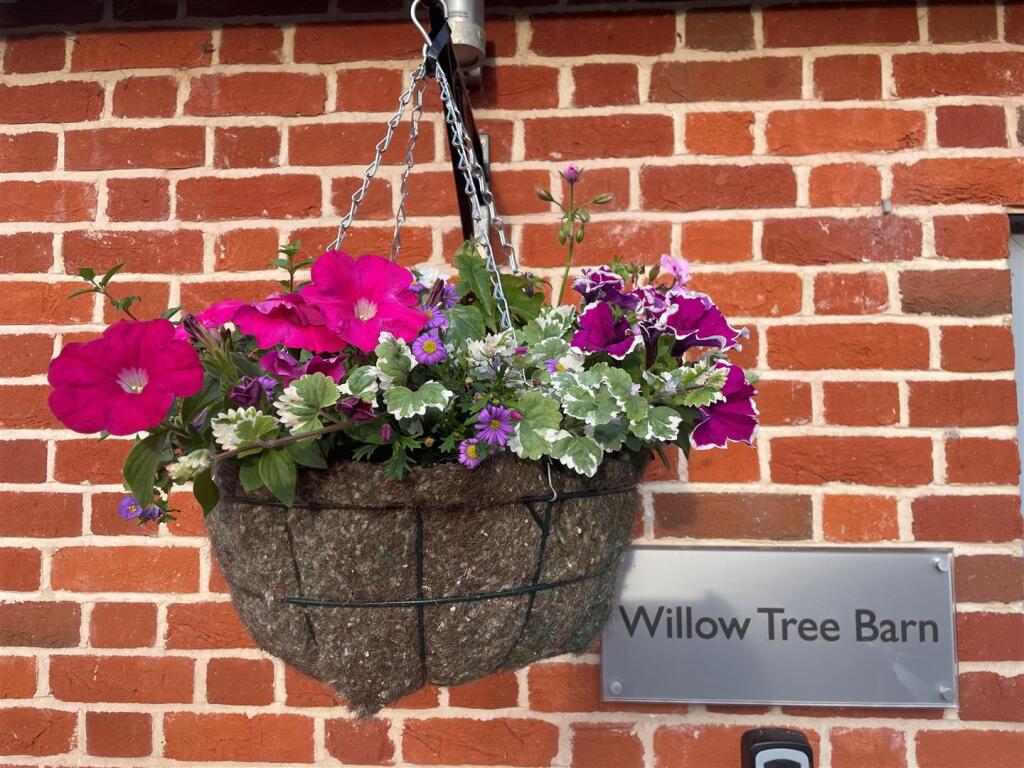 hanging basket.jpg