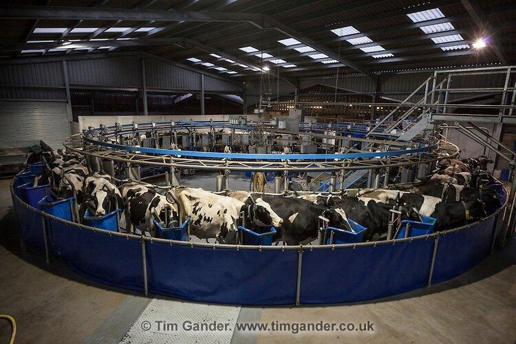 Parlour