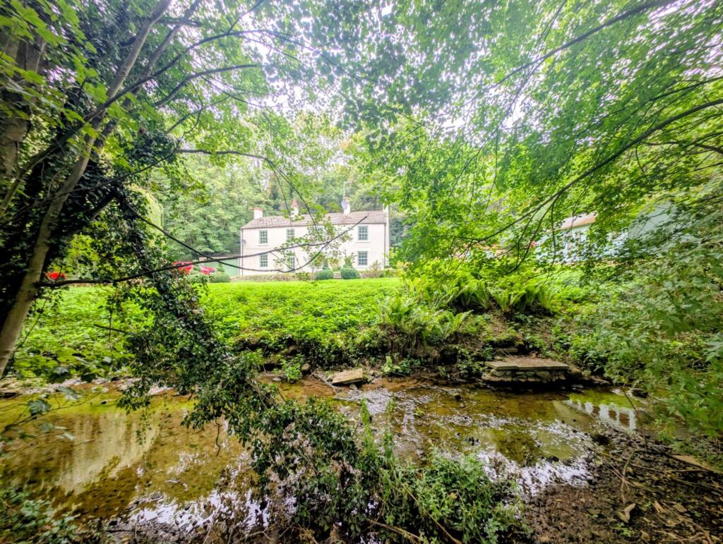 View From Stream