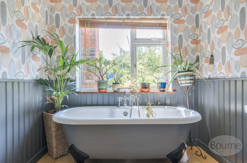 e34e661d-3d41-4fe...